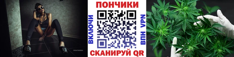 Каннабис SATIVA & INDICA Узловая